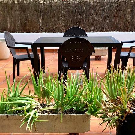 El Jardin De Veronica Zaragoza Ngoại thất bức ảnh